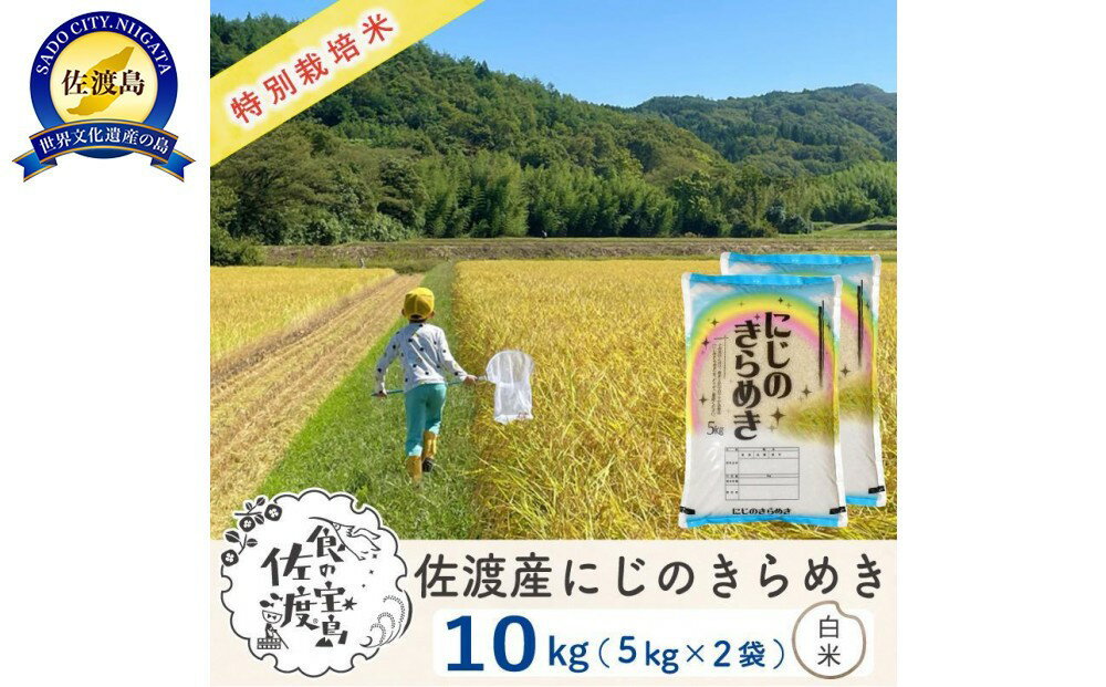 【ふるさと納税】佐渡島産にじのきらめき 白米10Kg（5Kg×2袋) 令和7年 特別栽培米 農家直送