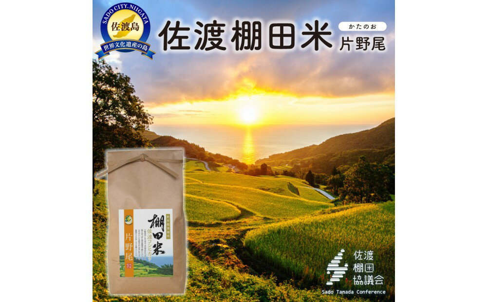 【ふるさと納税】佐渡島産棚田 片野尾ぬくもり米 白米2Kg【令和7年産】