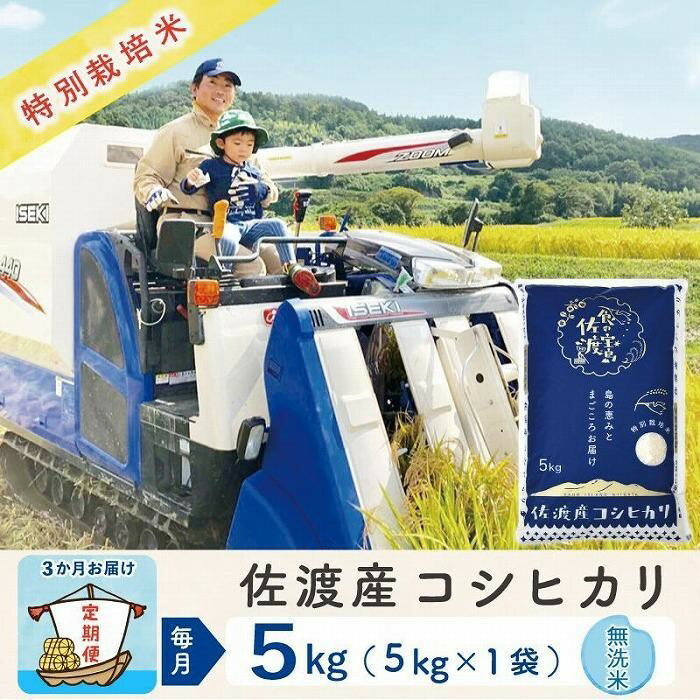 【ふるさと納税】【3か月定期便】佐渡島産コシヒカリ 無洗米5Kg 令和8年 特別栽培米 農家直送