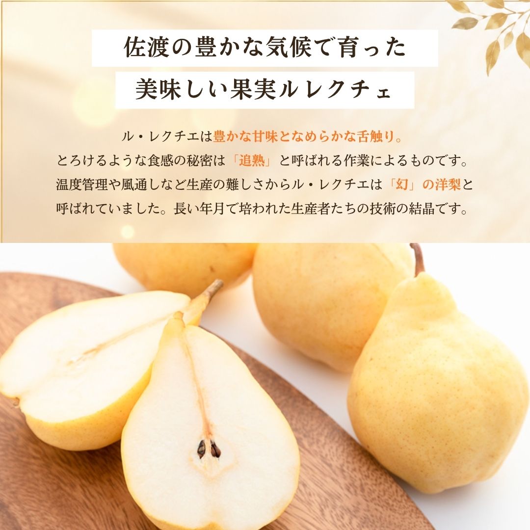 【ふるさと納税】【先行予約】【2026年11月下旬より順次発送】梨 西洋梨 ル・レクチエ 2kg ( 5〜6個 ) 【贈答用】