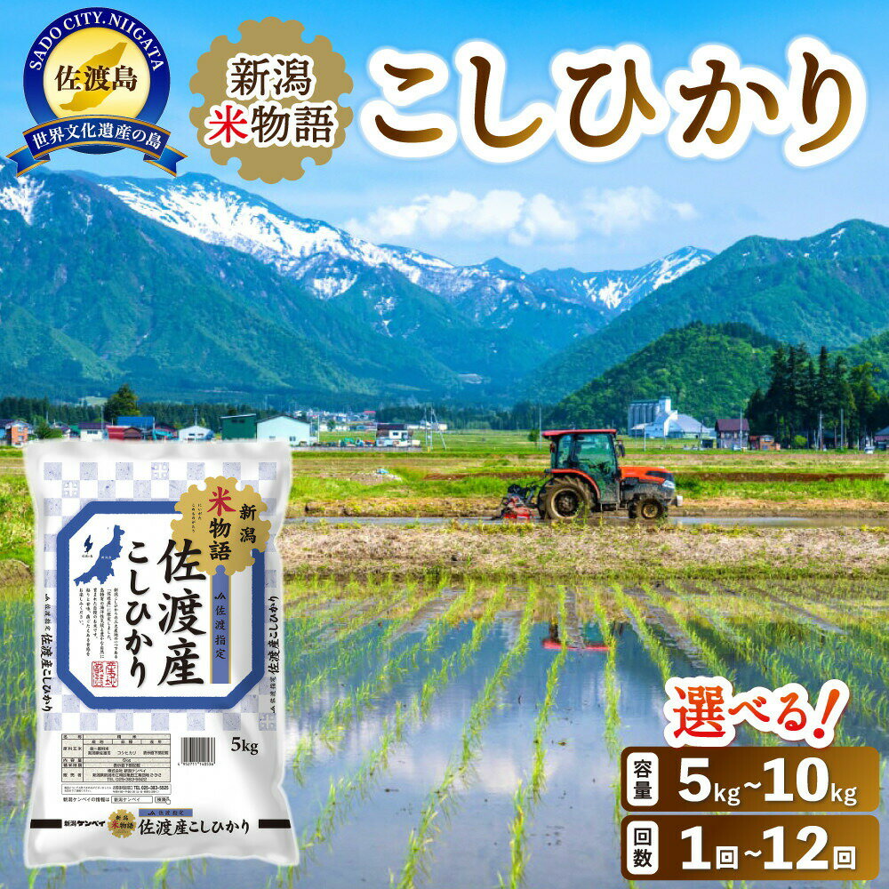 米 コシヒカリ 佐渡産 ( 5kg/10kg/定期便 ) 米物語