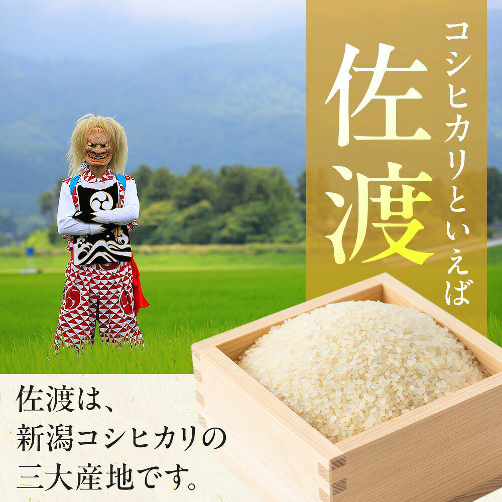 【ふるさと納税】米 コシヒカリ 佐渡産 ( 5kg／10kg／定期便 ) 米物語
