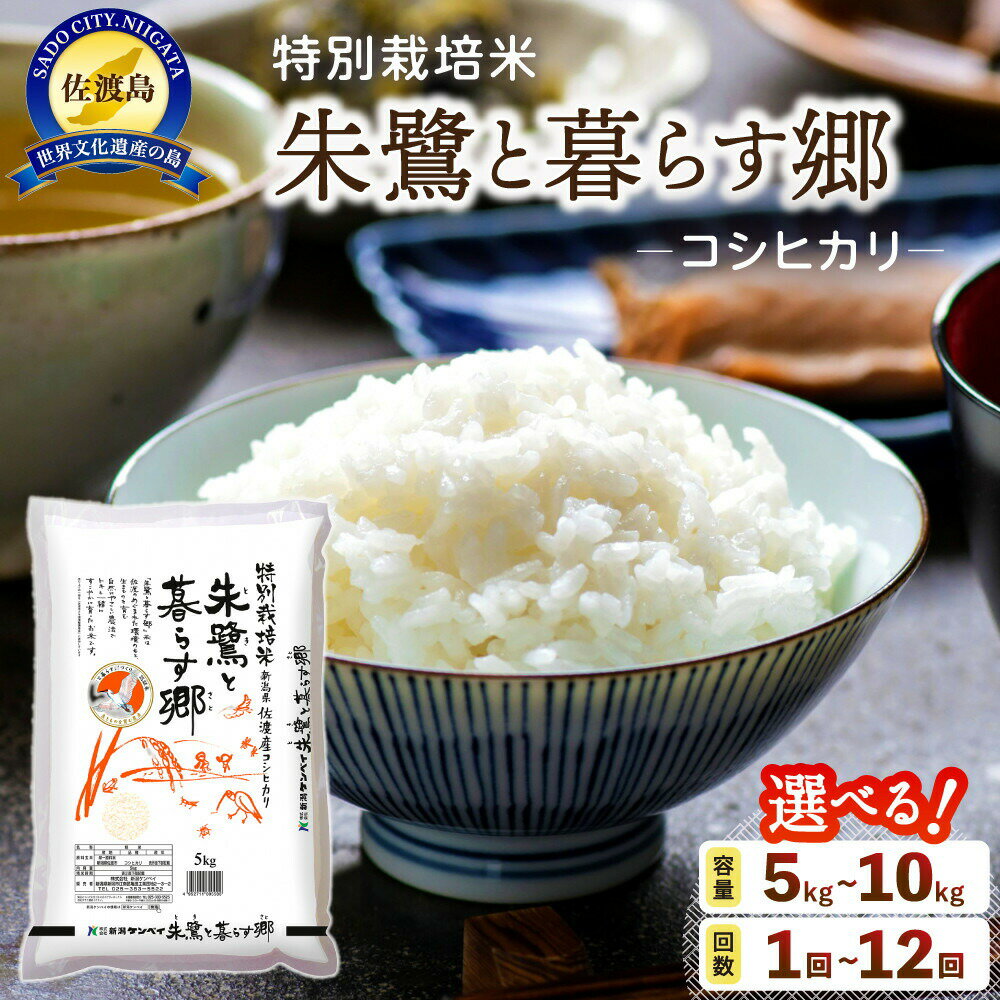 米 コシヒカリ 佐渡産 ( 5kg/10kg/定期便 ) 朱鷺と暮らす郷