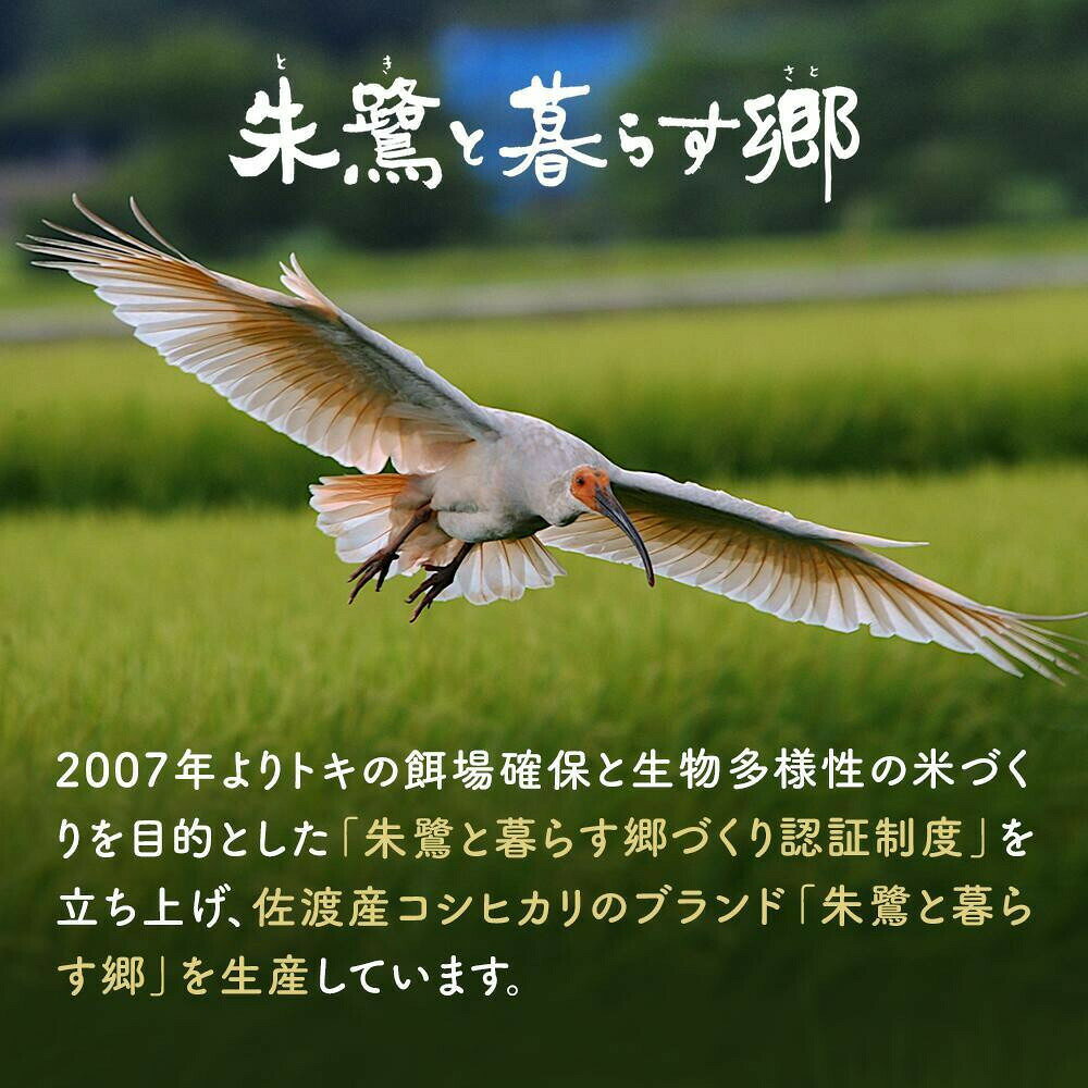 【ふるさと納税】米 コシヒカリ 佐渡産 ( 5kg／10kg／定期便 ) 朱鷺と暮らす郷