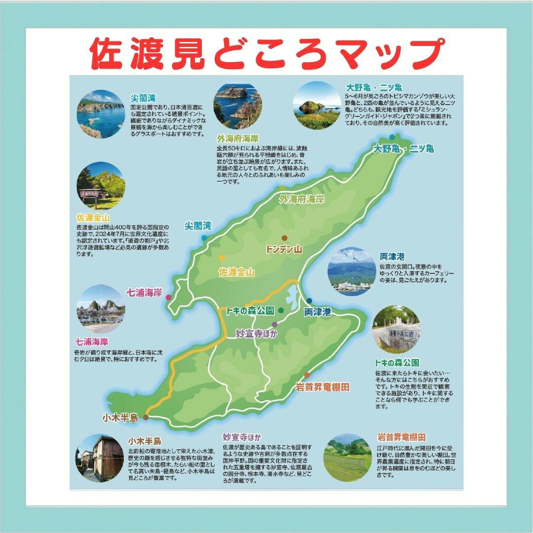 【ふるさと納税】おけさ観光タクシー 5時間フリープラン 普通車 4名様まで 利用券1枚 ドライバーガイド付き 佐渡島 名所めぐり 旅行 体験 チケット 新潟県 佐渡市 f152242-sado-10000706 新潟県佐渡市 サンプル画像3