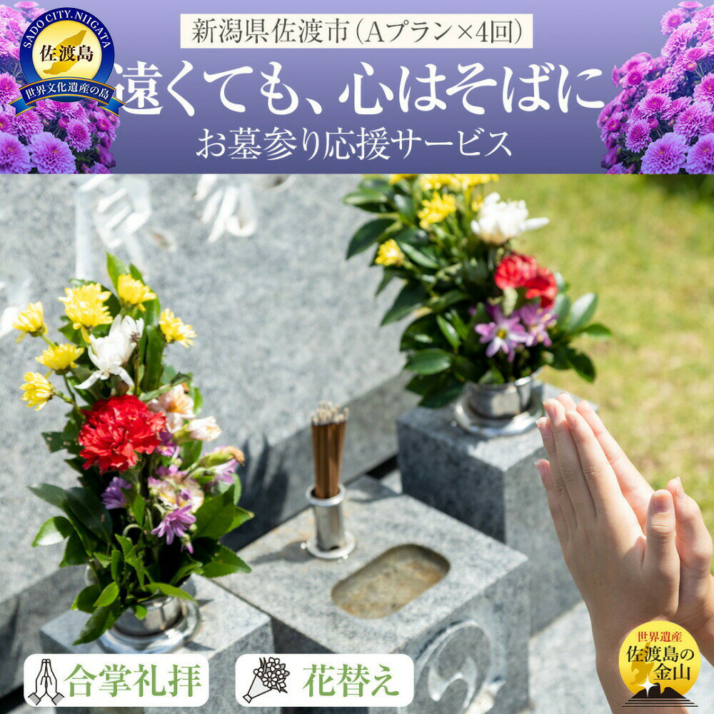 お墓参り代行 年4回 プランA 佐渡島内 合掌拝礼 花替え 簡易清掃 写真撮影 報告書付き タクシー送迎 上限5000円 年1回 サービス券1枚 供養 新潟県 佐渡市