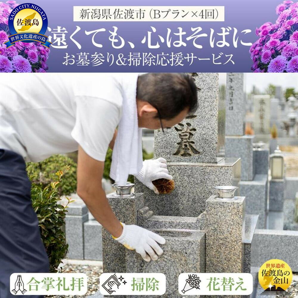 【ふるさと納税】お墓参り代行 年4回 プランB 佐渡島内 合掌拝礼 花替え 墓石水洗い 簡易除草 写真撮影 報告書付き タクシー送迎 上限5000円 年1回 供養 新潟県 佐渡市