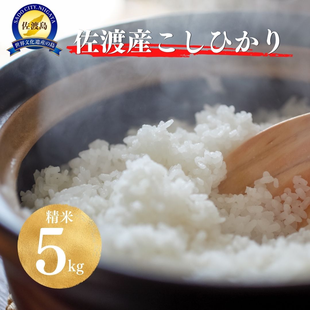 【ふるさと納税】【令和8年産新米予約】佐渡産コシヒカリ 精米10kg（5kg×2袋）単一原料米 産地指定米195978-0006