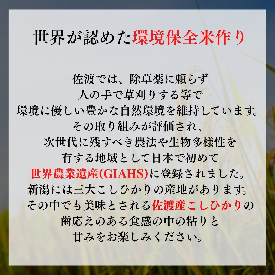 【ふるさと納税】【令和8年産新米】佐渡産コシヒカリ 真空パック900g×12袋 計10.8kg 単一原料米 産地指定米195978-0008 f152242-sado-10001316 新潟県佐渡市 サンプル画像2