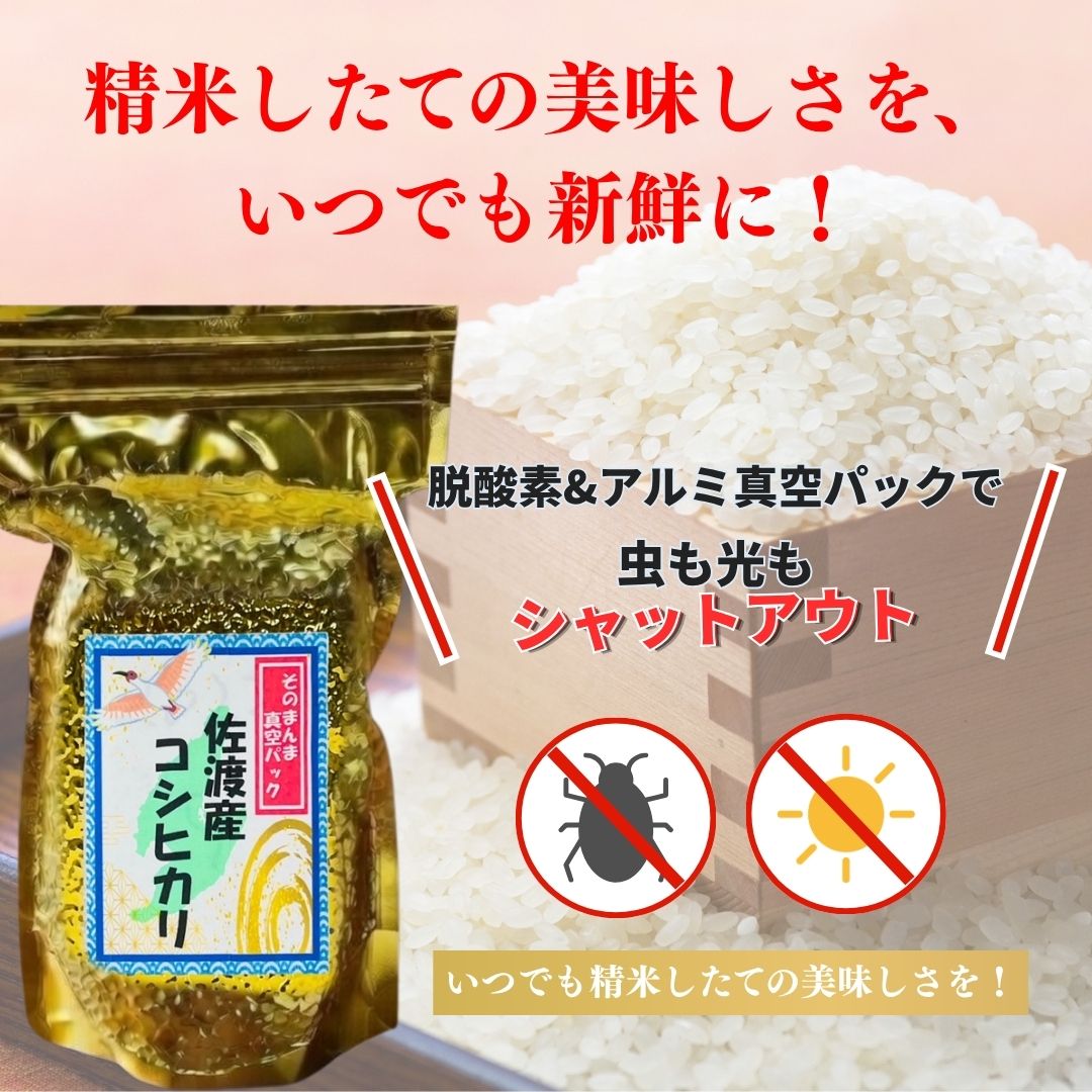 【ふるさと納税】【令和8年産新米】佐渡産コシヒカリ 真空パック900g×12袋 計10.8kg 単一原料米 産地指定米195978-0008 f152242-sado-10001316 新潟県佐渡市 サンプル画像3