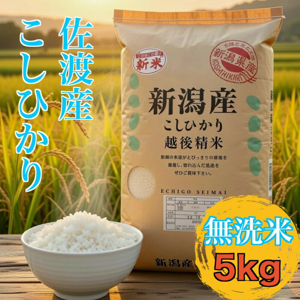 【ふるさと納税】【佐渡島が誇る極上コシヒカリ】無洗米 佐渡産コシヒカリ 5kg