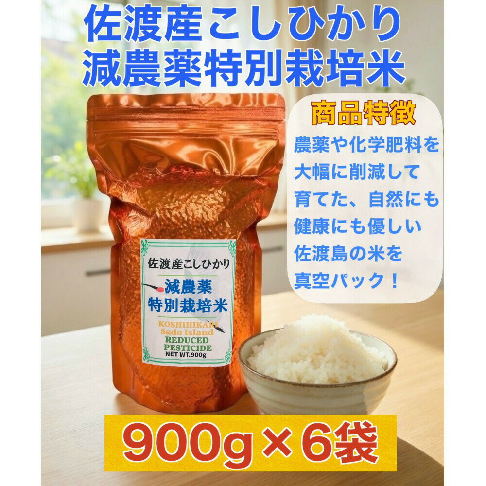 【ふるさと納税】佐渡島産 減農薬特別栽培米こしひかり 真空パック 900g×6袋セット