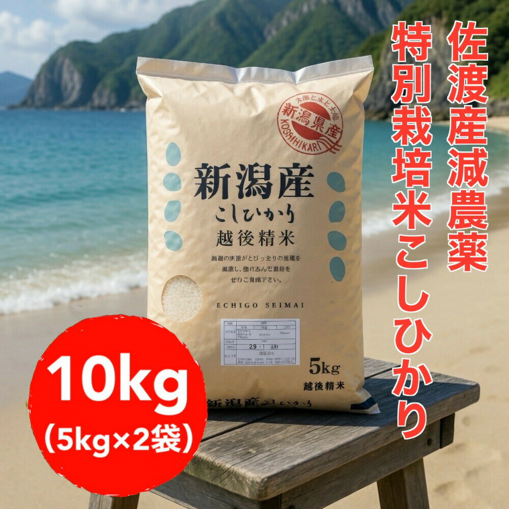【ふるさと納税】米 コシヒカリ 10kg 5kg×2袋 佐渡産 特別栽培米 減農薬 化学肥料5割減 トキと共生 世界農業遺産の島 こしひかり 精米 ごはん おにぎり 新潟県 佐渡市