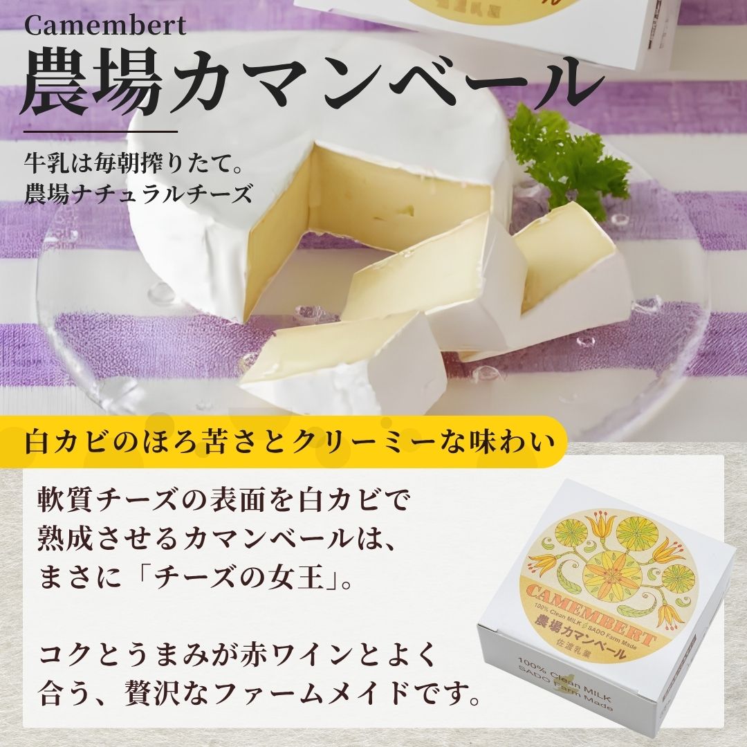 【ふるさと納税】チーズ 詰め合わせ 600g 佐渡乳業 カマンベール クリーム モッツアレラ 各100g 佐渡バター 200g 冷蔵 化粧箱入り 朝食 パン ワイン ギフト 新潟県 佐渡市 f152242-sado-10000227 新潟県佐渡市 サンプル画像3