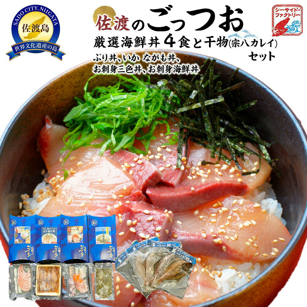 海鮮丼 4食 干物セット 天然ぶり丼100g いかながも丼75g 刺身三色丼 刺身海鮮丼 各100g 宗八カレイ干物150g×6枚 冷凍 朝食 おつまみ 晩酌 新潟県 佐渡市