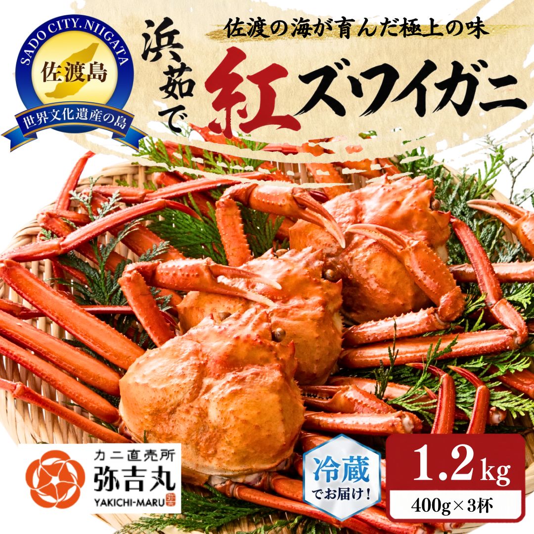 【ふるさと納税】佐渡島直送！浜茹で紅ズワイガニ（1杯400g/3杯）