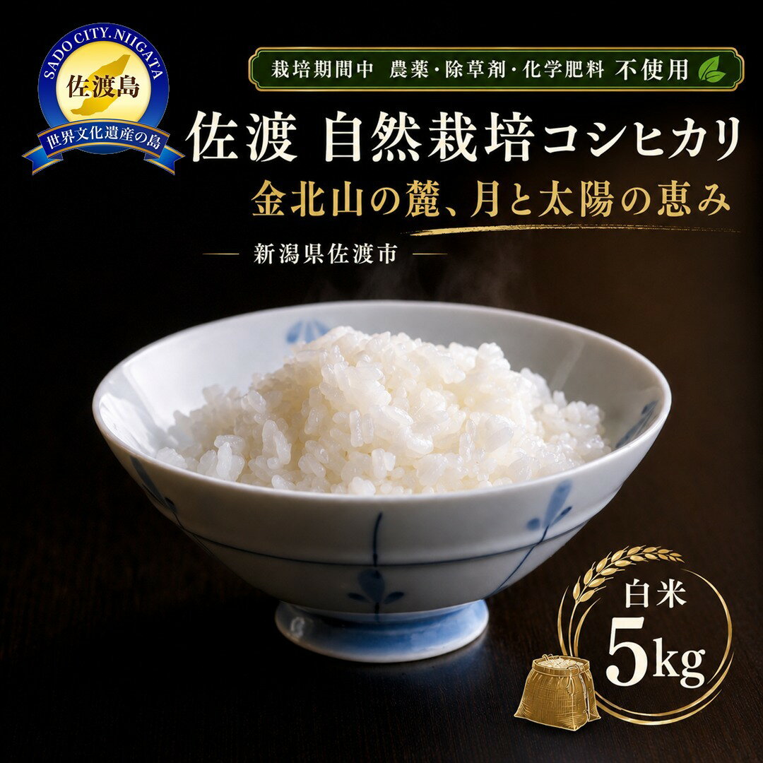 【ふるさと納税】【佐渡産 こだわりの自然栽培米】令和7年度産 コシヒカリ 白米5kg