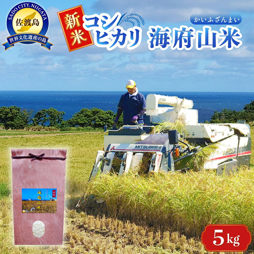 【令和8年産】米 コシヒカリ 海府山米 5kg 佐渡産 特別栽培米 精米 海府屋 こしひかり 白米 雪解け水 小野見 ごはん おにぎり お弁当 新潟県 佐渡市
