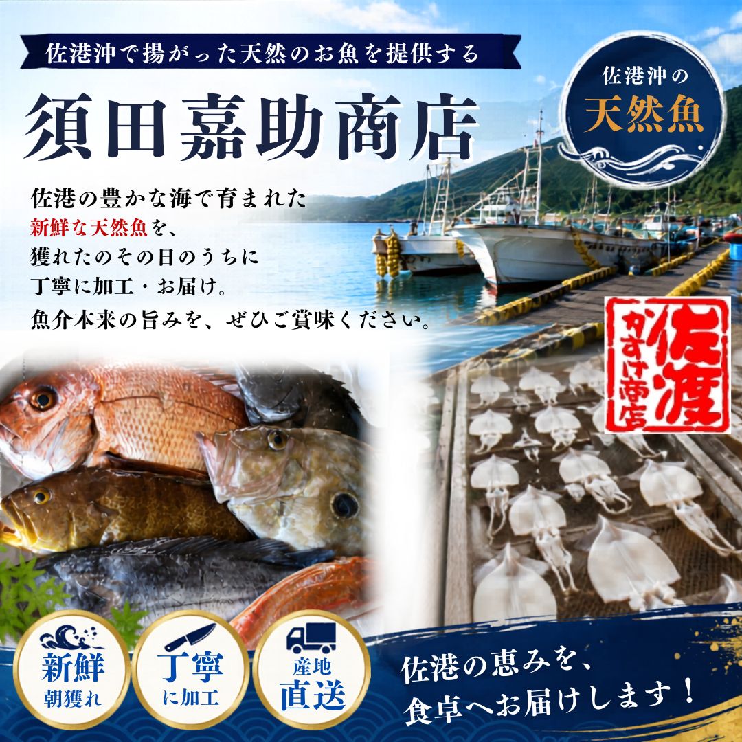 【ふるさと納税】佐渡産 天然活サザエ 2kg