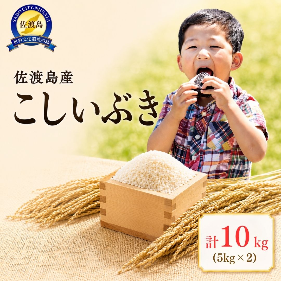 【ふるさと納税】米 こしいぶき 10kg 5kg×2 令和7年産 佐渡島産 精米 白米 注文後精米 国仲平野 水渡田ライスファーム 単一原料米 ごはん おにぎり お弁当 新潟県 佐渡市