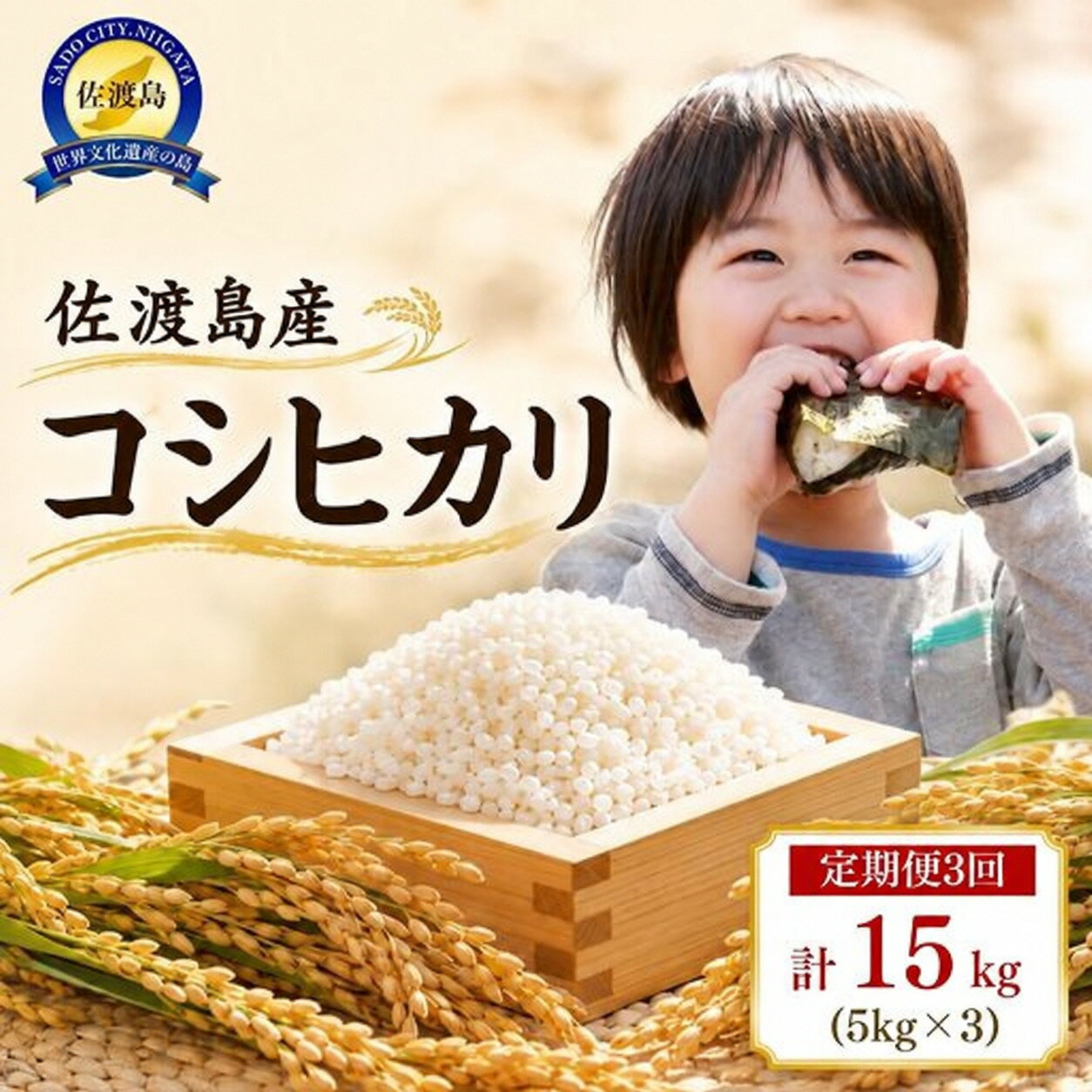 【ふるさと納税】【3か月定期便】米 コシヒカリ 5kg×全3回 令和8年産 佐渡島産 精米 白米 毎月1回 こしひかり 国仲平野 水渡田ライスファーム ごはん おにぎり 新潟県 佐渡市