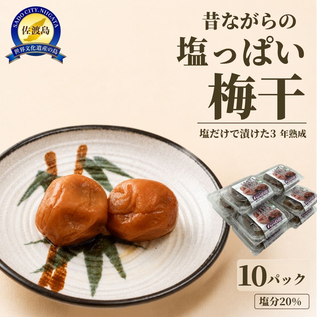 【ふるさと納税】梅干し 100g×10パック 計1kg 佐渡産 3年熟成 塩分20％ 完全無添加 塩だけ 昔ながら うめぼし ウメボシ 小分け 常温保存 長期保存 ご飯のお供 おにぎり お弁当 お茶漬け 保存食 お取り寄せ 人気 おすすめ 家庭用 自宅用 一人暮らし 新潟県 佐渡市 f152242-sado-10000887 新潟県佐渡市 パッケージ画像