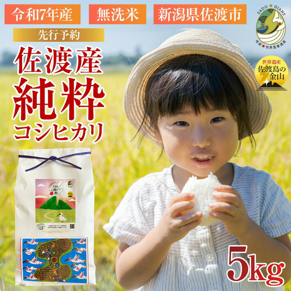 【ふるさと納税】【新潟県佐渡】純粋コシヒカリ＜数量限定＞ 令和7年産 精米【無洗米】5kg 送料無料