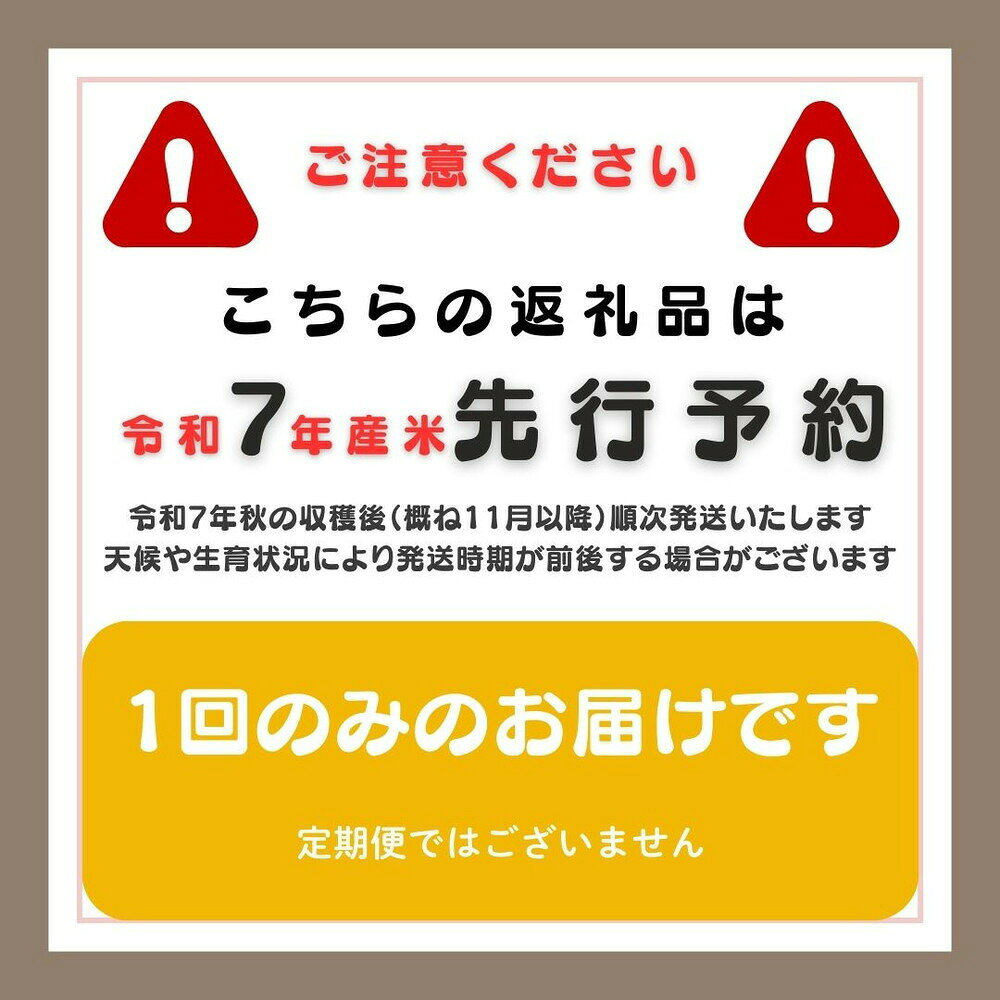 【ふるさと納税】【新潟県佐渡】純粋コシヒカリ＜数量限定＞ 令和7年産 精米【無洗米】5kg 送料無料
