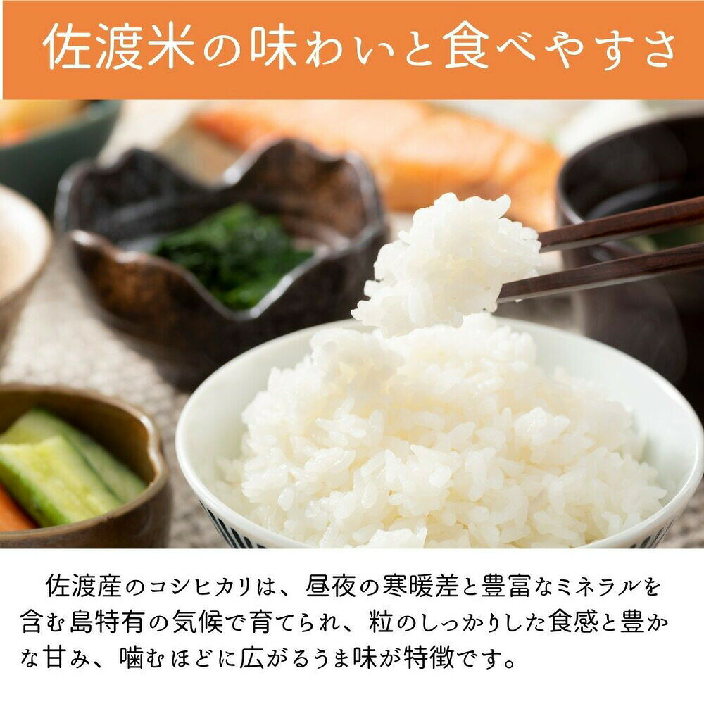 【ふるさと納税】【新潟県佐渡】純粋コシヒカリ＜数量限定＞ 令和7年産 精米【無洗米】5kg 送料無料