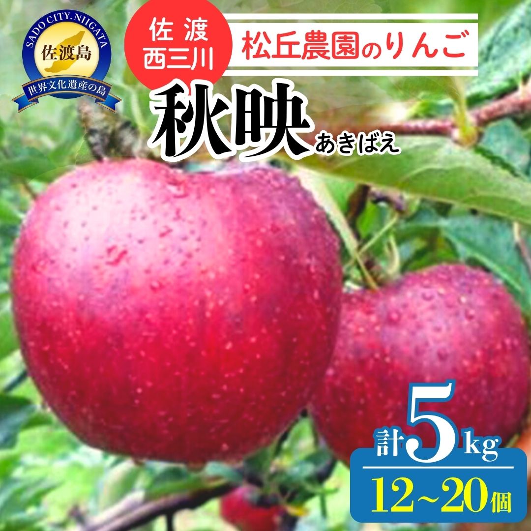 【ふるさと納税】りんご 秋映 12個〜20個 計5kg 佐渡産 西三川 松丘農園 あきばえ リンゴ 果物 フルーツ 秋の味覚 おやつ デザート 贈り物 新潟県 佐渡市