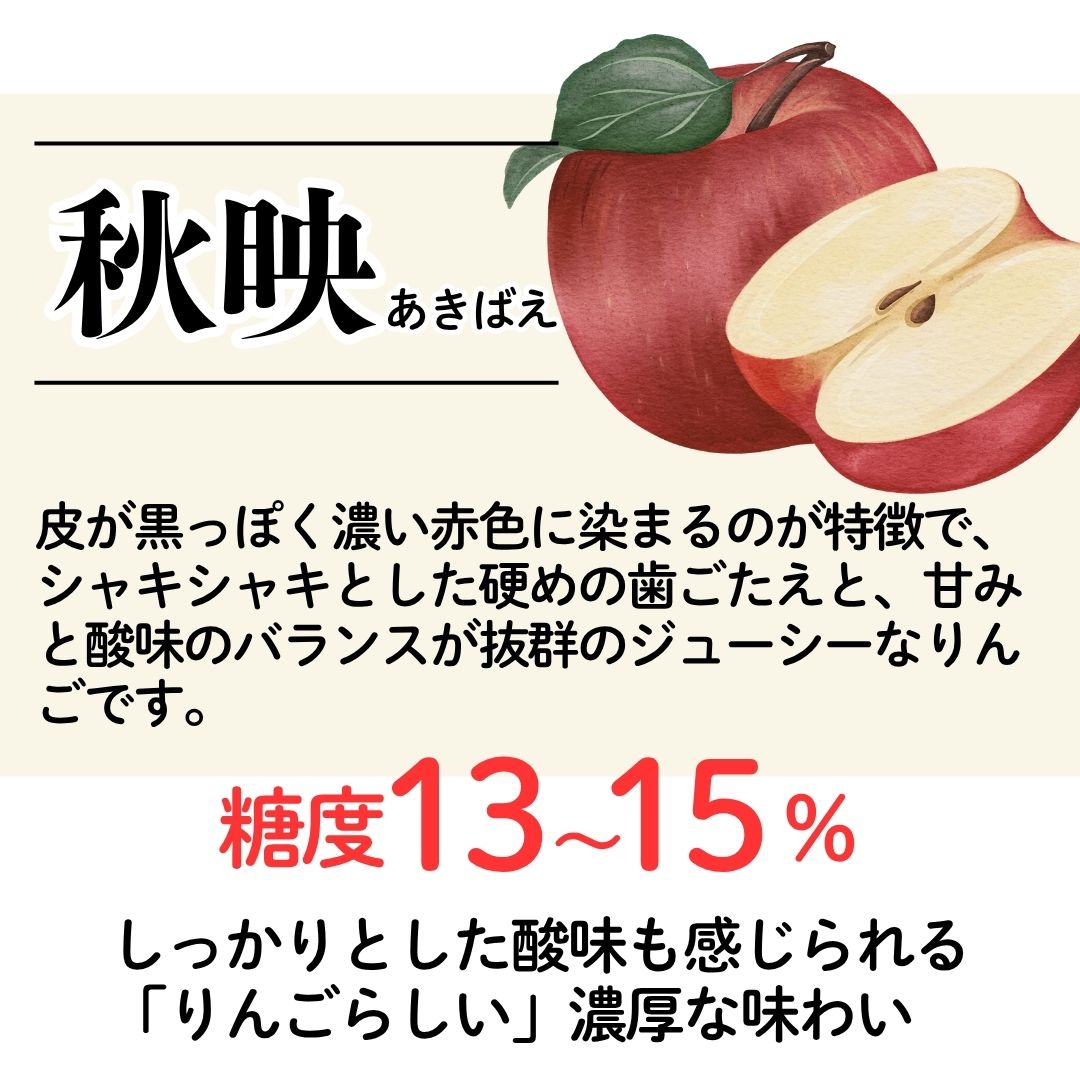 【ふるさと納税】りんご 秋映 12個〜20個 計5kg 佐渡産 西三川 松丘農園 あきばえ リンゴ 果物 フルーツ 秋の味覚 おやつ デザート 贈り物 新潟県 佐渡市 f152242-sado-10001265 新潟県佐渡市 サンプル画像3