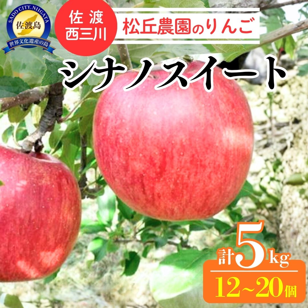 【ふるさと納税】【10月上旬以降発送】佐渡 西三川・松丘農園のりんご「シナノスイート」12個〜20個　計5kg