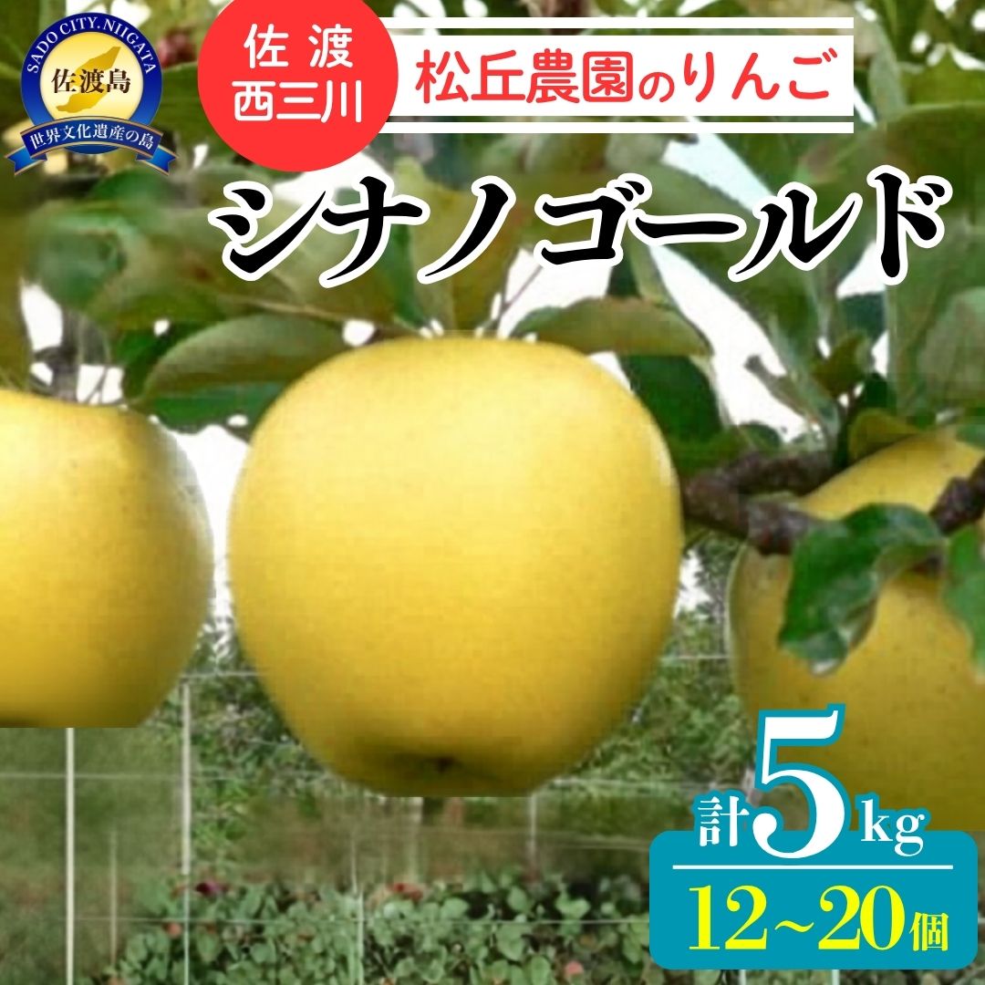 【ふるさと納税】【10月下旬以降発送】佐渡 西三川・松丘農園のりんご「シナノゴールド」12個〜20個　計5kg