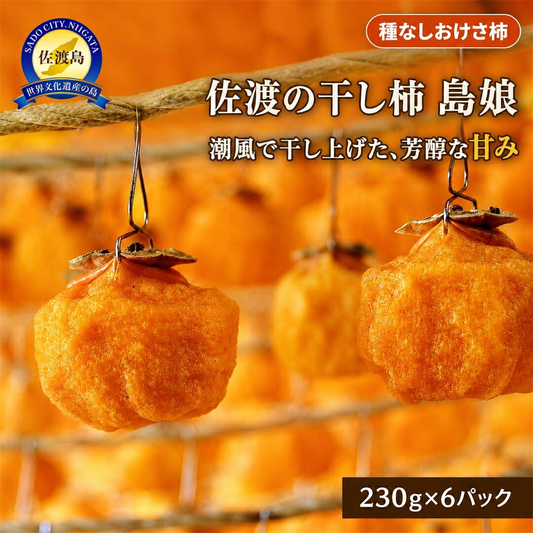 【ふるさと納税】干し柿（島娘）　230g×6パック