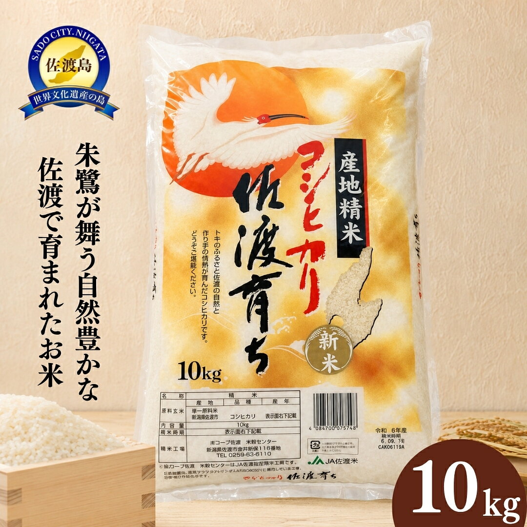 【ふるさと納税】「令和7年産」佐渡育ち　10kg