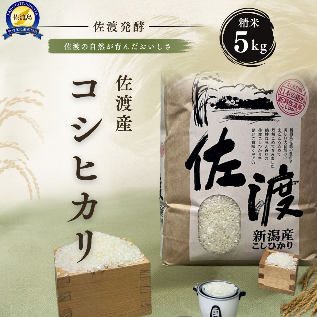 【令和7年産】米 コシヒカリ 精米5kg 佐渡産 外海府 農薬化学肥料5割減 生物多様性農業 こしひかり 白米 ごはん おにぎり お弁当 新潟県 佐渡市
