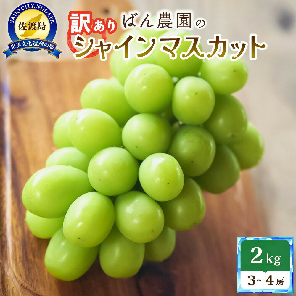 【ふるさと納税】【訳あり】シャインマスカット2kg　3〜4房　佐渡島産