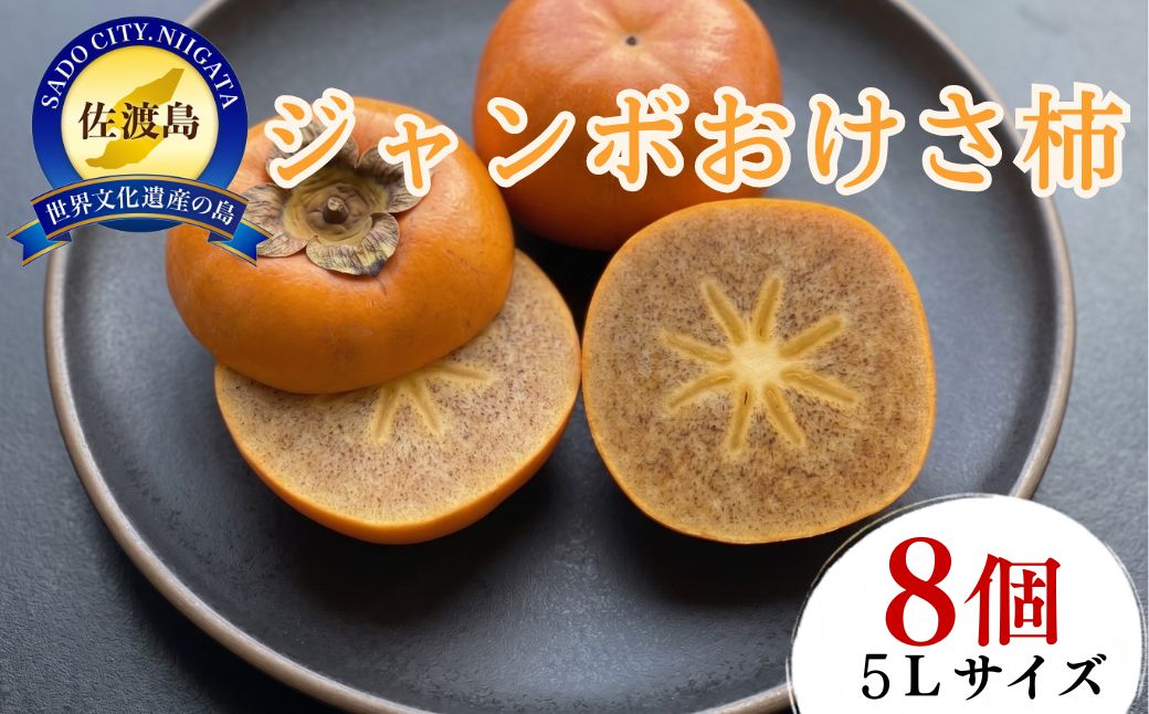 柿 ジャンボおけさ柿 5Lサイズ 8個入 佐渡島産 大平柿 樹上脱渋 化粧箱入り 贈答用 井端柿園 かき 果物 フルーツ 秋の味覚 おやつ デザート 新潟県 佐渡市