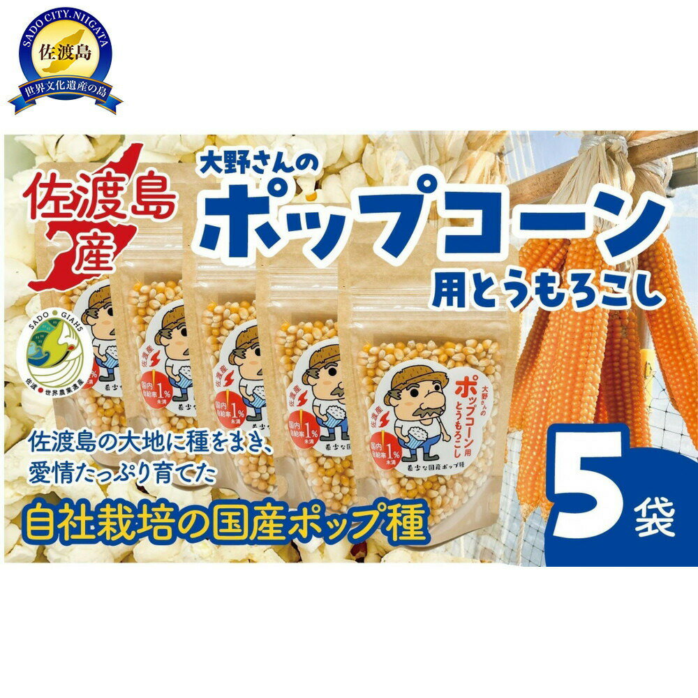 【ふるさと納税】佐渡島産 大野さんのポップコーン用とうもろこし（180g×5袋入）