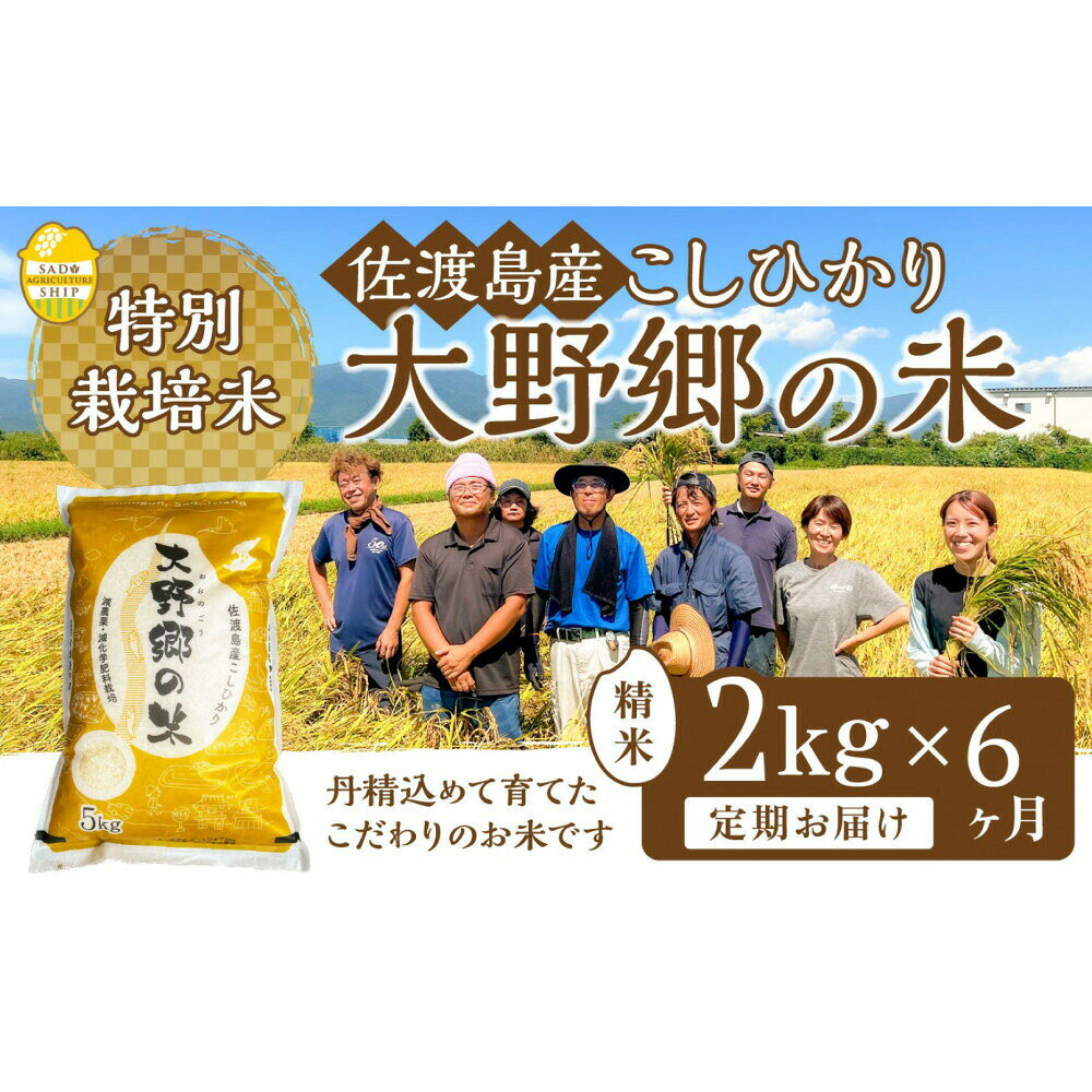 【6回定期便】米 コシヒカリ 精米2kg 計12kg 令和7年産 佐渡島産 特別栽培米 大野郷の米 朱鷺と暮らす郷 白米 こしひかり ごはん 新潟県 佐渡市