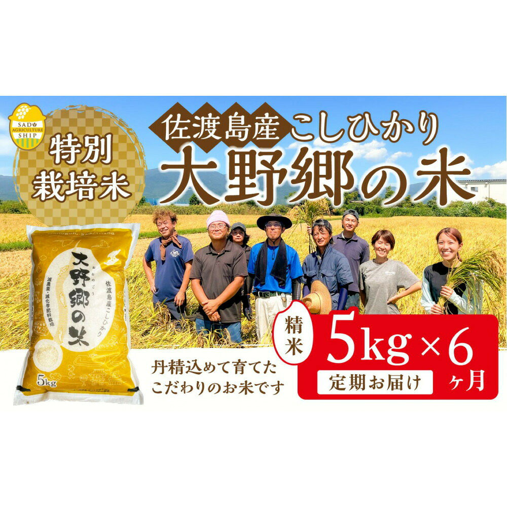 【6回定期便】米 コシヒカリ 精米5kg 計30kg 令和7年産 佐渡島産 特別栽培米 大野郷の米 朱鷺と暮らす郷 白米 こしひかり ごはん 新潟県 佐渡市