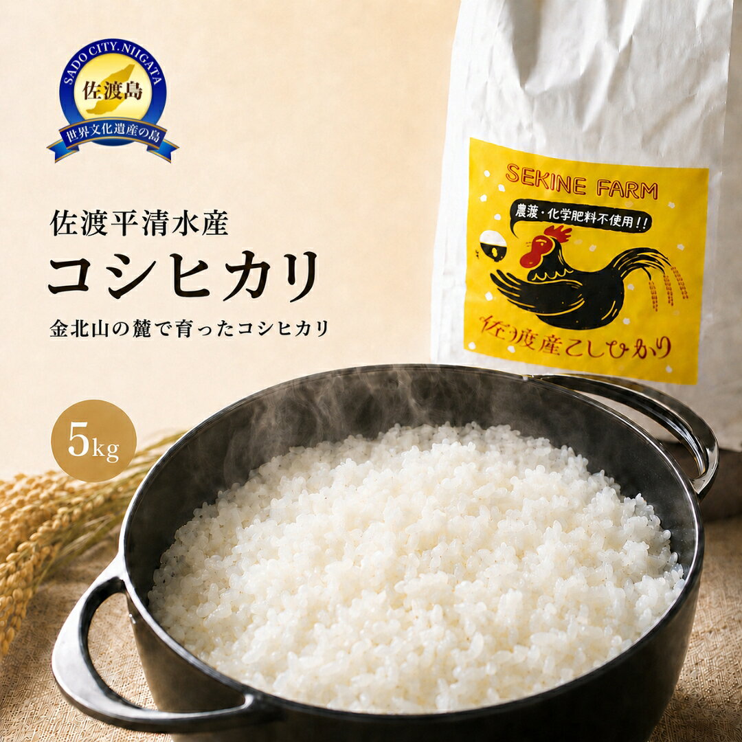米 コシヒカリ 5kg 令和8年産 農薬化学肥料不使用 佐渡平清水産 精米 白米 注文後精米 金北山の麓 せきね農園 こしひかり ごはん おにぎり 新潟県 佐渡市