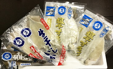 【ふるさと納税】佐渡ヶ島いか専門店　いかづくしセットB　【魚介類・イカ・干物】