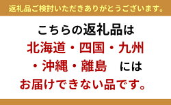 【ふるさと納税】佐渡産 真いか 醤油漬け 2杯入×6パック　【魚貝類・イカ・スルメイカ・醤油漬け】 画像2