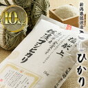 【ふるさと納税】令和3年産 食味鑑定コンクール金賞 新潟県佐渡産こしひかり 10kg 5kg×2袋　【お米・コシヒカリ・新潟県産】