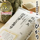 【ふるさと納税】【3ヶ月定期便】令和3年産 食味鑑定コンクール金賞 新潟県佐渡産こしひかり 5kg　【定期便・お米・コシヒカリ・新潟県産】