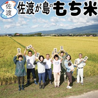 【ふるさと納税】令和3年産 佐渡産こがねもち 特別栽培米 もち精米10kg 【 餅米 もち米 餅 もち モチ 日用品 主食 餅つき 正月 集まり お祝い 行事 ご飯 炭水化物 】