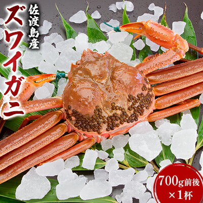 【ふるさと納税】佐渡島産 ズワイガニ 700g 前後×1杯　【 海の幸 海鮮 国産 日本産 浜茹で 茹で上がり 当日 発送 直送 晩酌 つまみ お酒 あて カニ料理 冷蔵 】　お届け：2022年10月15日〜2022年11月20日