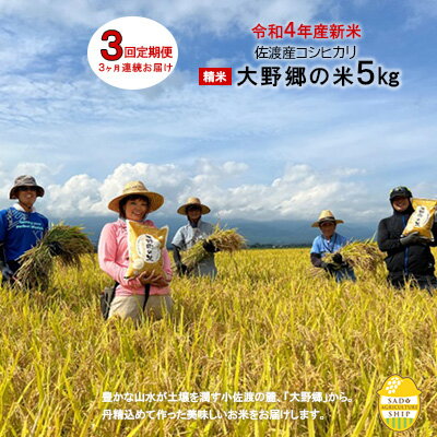 【ふるさと納税】【令和4年産】佐渡産こしひかり　大野郷の米（精米）5kg【3ヶ月連続お届け】　【定期便・ お米 白米 ライス ブランド米 新潟県産 減化学肥料 減農薬 佐渡市 認証米 安心 安全 ふっくら 粘り 旨味 おにぎり お弁当 】　お届け：2023年9月中旬頃まで･･･