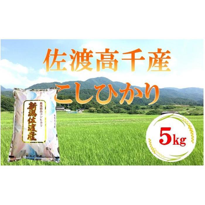 【ふるさと納税】佐渡産こしひかり　5kg／10kg（お届け1